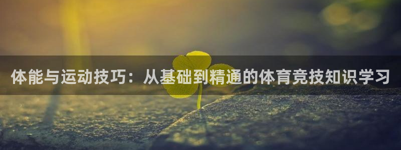风速体育app官方下载：体能与运动技巧：从基础到精通的体育竞技知识学习