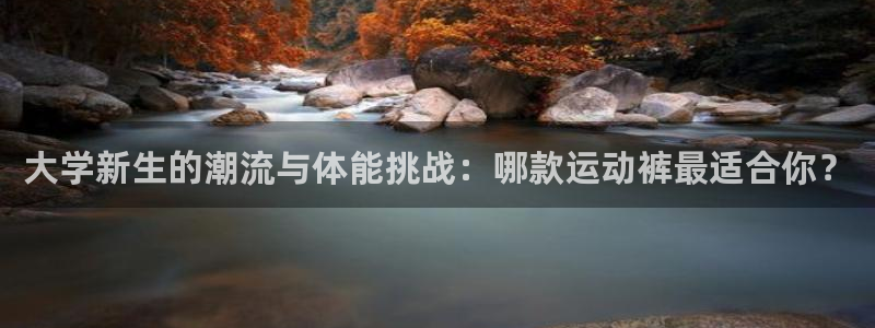 风速体育下载：大学新生的潮流与体能挑战：哪款运动裤最适合你？