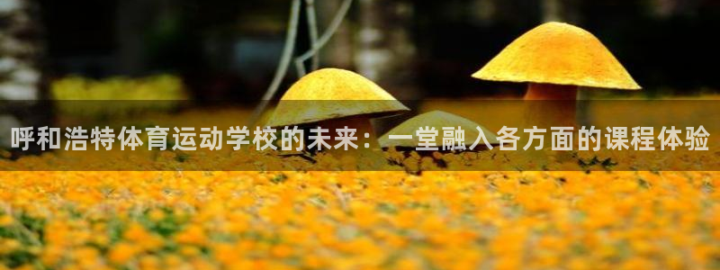 风速体育app：呼和浩特体育运动学校的未来：一堂融入各方面的课程体验