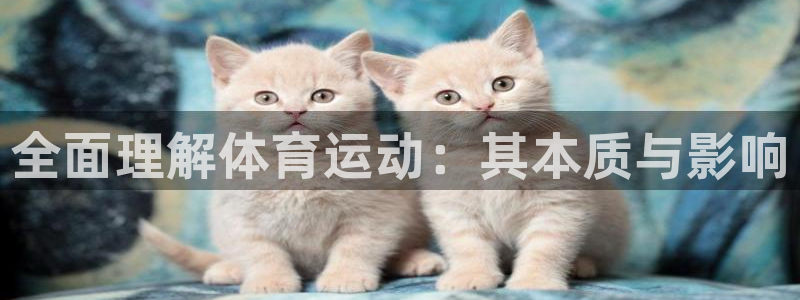 下载风速体育：全面理解体育运动：其本质与影响
