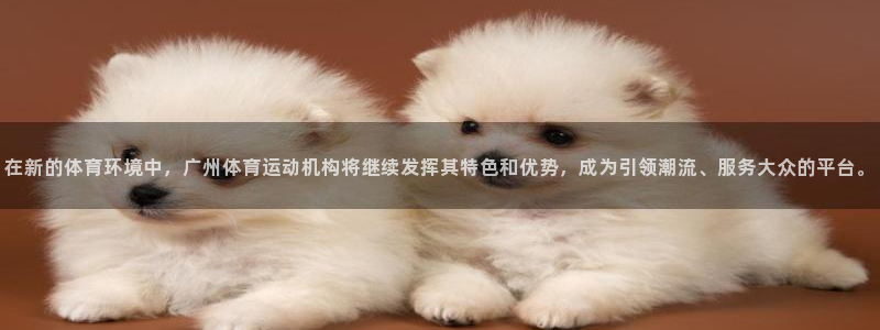 风速体育下载：在新的体育环境中，广州体育运动机构将继续发挥其特色和优势，成为引领潮流、服务大众的平台。
