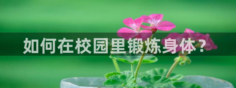 风速体育nba直播：如何在校园里锻炼身体？