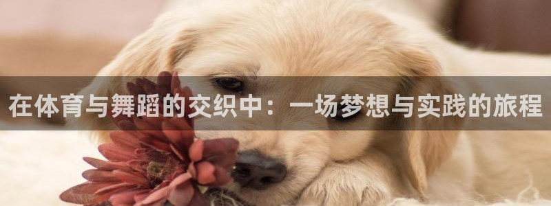 风速体育直播app：在体育与舞蹈的交织中：一场梦想与实践的旅程