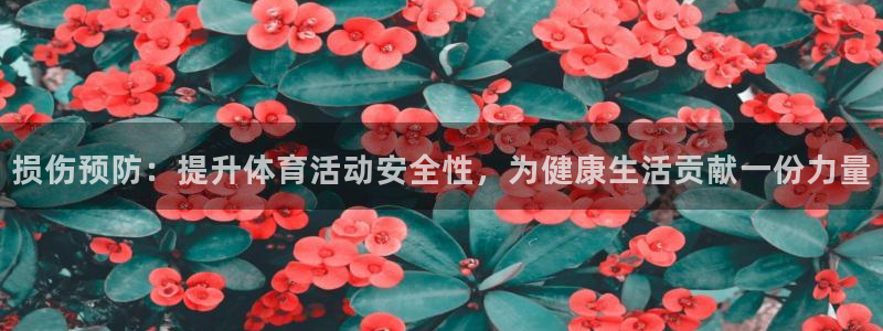 风速体育nba直播：损伤预防：提升体育活动安全性，为健康生活贡献一份力量