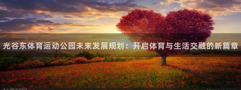 风速体育app下载官网最新版：光谷东体育运动公园未来发展规划：开启体育与生活交融的新篇章