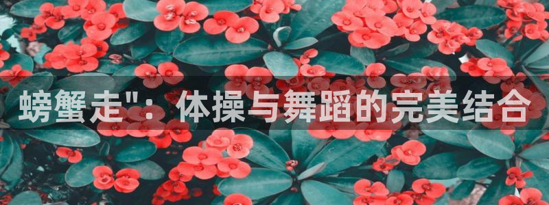 下载风速体育：螃蟹走\