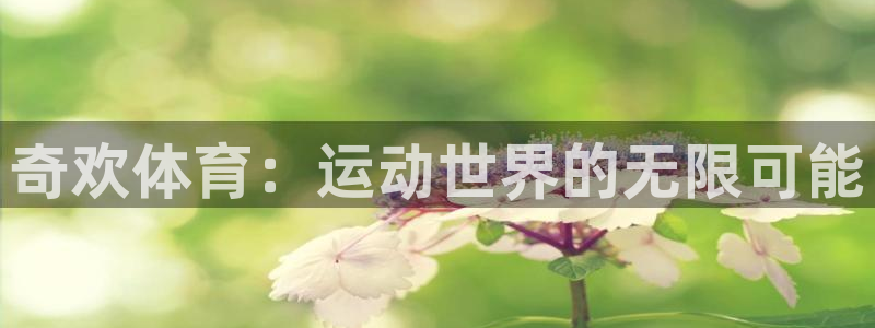 风速体育：奇欢体育：运动世界的无限可能