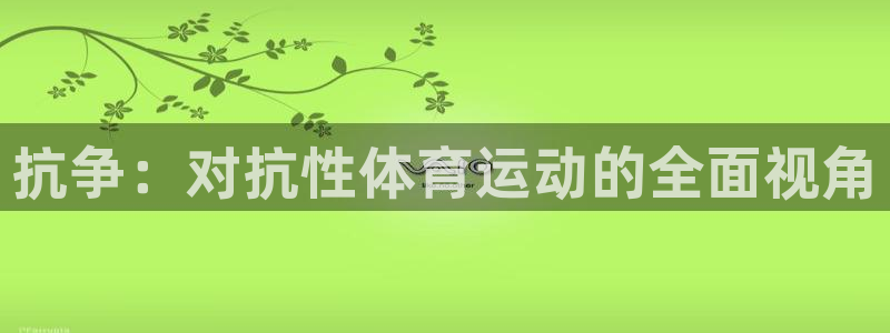 下载风速体育：抗争：对抗性体育运动的全面视角