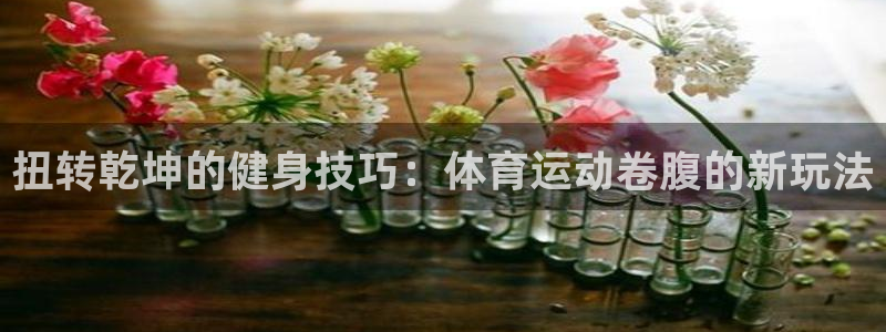 风速体育app：扭转乾坤的健身技巧：体育运动卷腹的新玩法